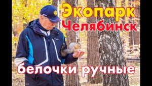 Экопарк в Челябинске - гуляют люди и кормят белочек