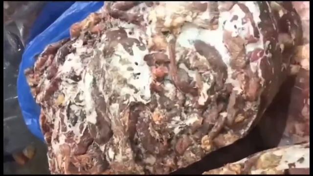 Обрезь. Говядина. 70/30 смотреть онлайн