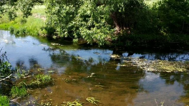 Ukrainian Songs! Accordion Music! Рідна мати моя на акордеоні та красива природа!