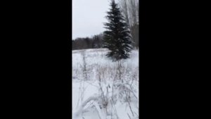 Стелс Витязь "Обкатка"