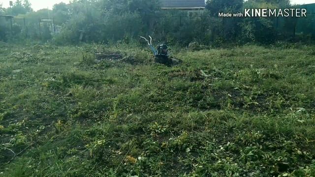 Разработка заросшего участка смотреть онлайн