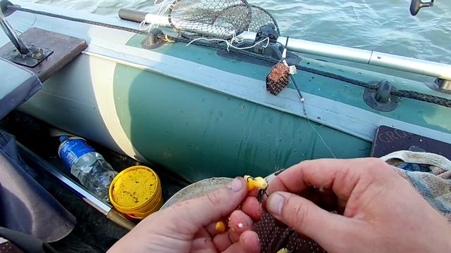 Поймал сазана , паровоз так паровоз . Рыбалка на донки смотреть онлайн