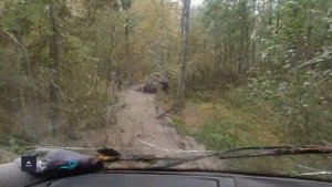 Вепсский лес 2022