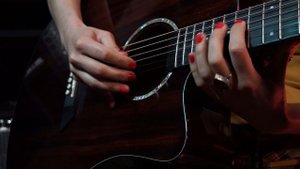 Our NG Guitar Model DM411SCPB Advert