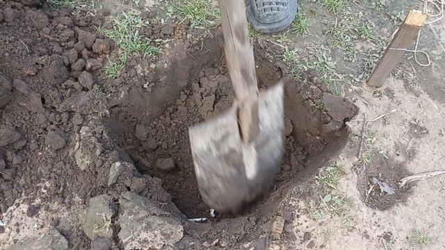 ВЛОГ : ОТЛИЧАЕМ УТКУ ОТ СЕЛЕЗНЯ/ СТРОИМ ВОЛЬЕР ДЛЯ СОБАК смотреть онлайн