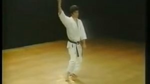 Shotokan Karate Kata 18 Sochin