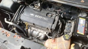 Z16XER дизелит/стучит