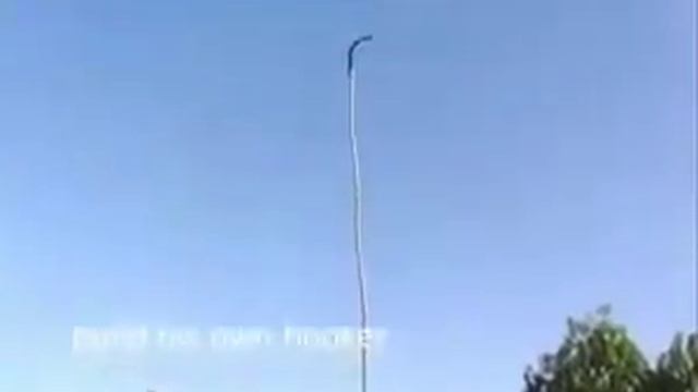 Баобаб, а хватит ли его на всех.mp4 смотреть онлайн