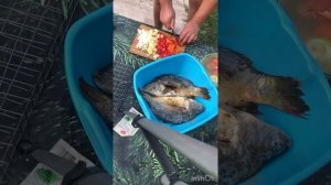 Сазан горячего копчения!