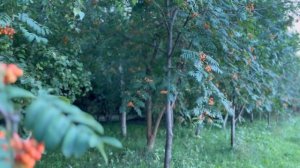❤Красивый стих "Факты". Христианские стихи.