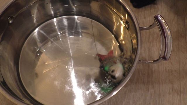 ПРИМАНКА НОВОГО ПОКОЛЕНИЯ 2020! Воблер, который движется сам с Aliexpress. смотреть онлайн