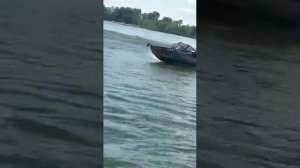 Orionboat 46D
