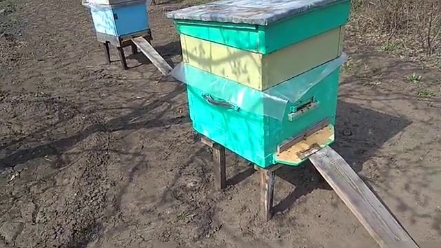 Переустановка ульев с пчёлами на новое место в пределах огорода . смотреть онлайн