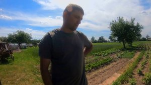 Самые лучшие способы выращивания клубники