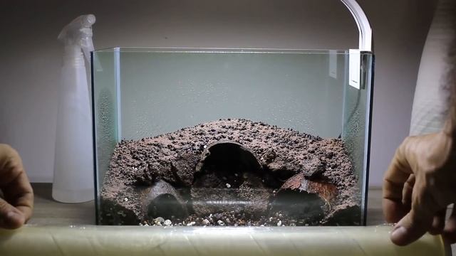 Hobbit House Betta Aquarium & Carpet Plant - Save a Betta смотреть онлайн