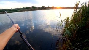 Рыбалка. Поймал зачетного карася! Ловля карася на кормаки