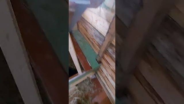 Вальер для ротвейлера