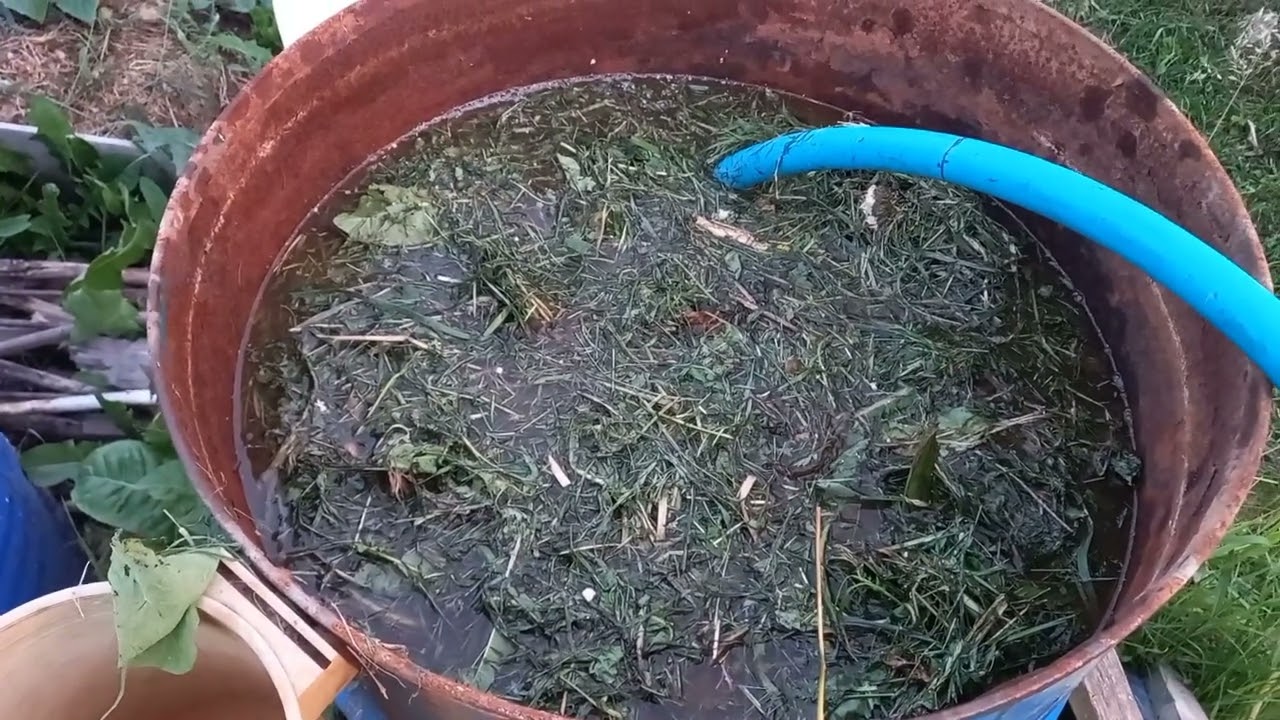 Супер корм для всех растений Agh03rjndW8 смотреть онлайн