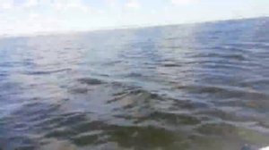 Фрегат 310 air и mercury 3.3