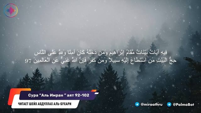 Сура Аль Имран 92 102 | Читает Шейх Абдуллах Аль-Бухари смотреть онлайн