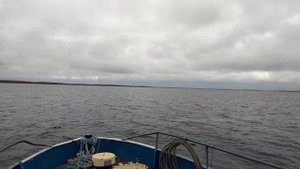 Костромич ч.2