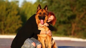 Какая немецкая овчарка на самом деле? За 5 минут о немецкой овчарке. Цена, особенности и болезни.