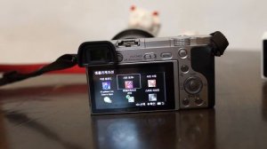 ILCE-6000(A6000) 4week review