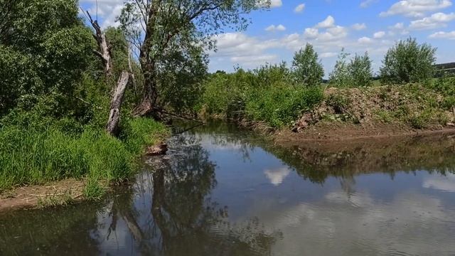 Проектирование.Россия. Татарстан. Казань. Форелевое  хозяйство.