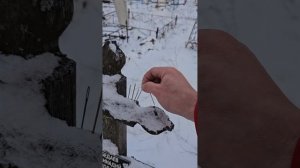 МОГИЛЬНЫЕ ИГЛЫ, ЭТО ПОРЧА