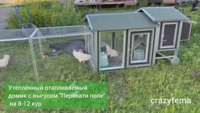 Передвижной курятник на колесах обзор. Утепленный курятник для зимы и лета на 8-12 курочек.