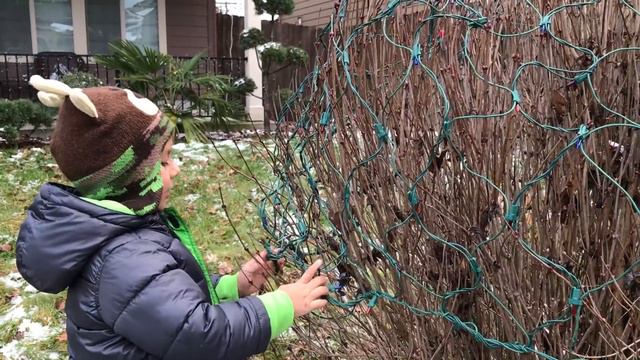Дениска украшает дом. смотреть онлайн