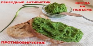 ВКУСНАЯ ПАСТА НАМАЗКА ИЗ ЧЕСНОЧНЫХ СТРЕЛОК _ РЕЦЕПТ ПП ЗОЖ КАК ПРИГОТОВИТЬ ЗАГОТОВКА НА ЗИМУ