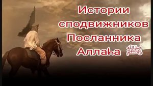 Сподвижник Пророка Мухаммада "Саид ибн Зейд"