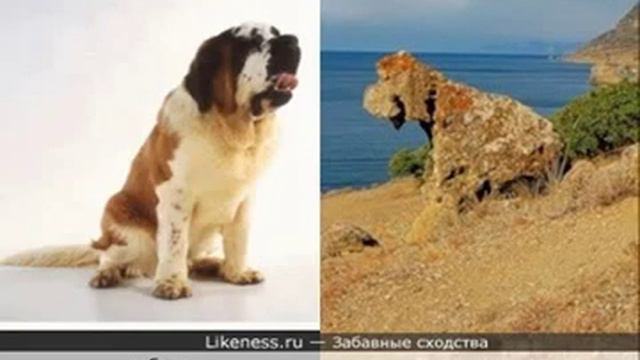 Просто забавные сходства смотреть онлайн