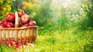 Аффирмации. Аффирмации на успех и процветание [Светлана Нагородная]