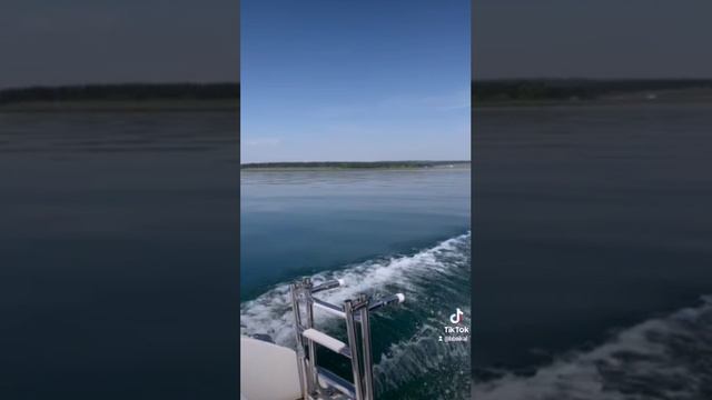 Залив.mp4 смотреть онлайн