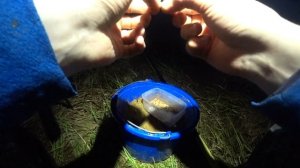 Открытие фидерного сезона 2021 с новым фидером от Caiman! Обзор удилища