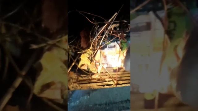 Приехала на дачу.С утра кипит работа,надо успеть всё.