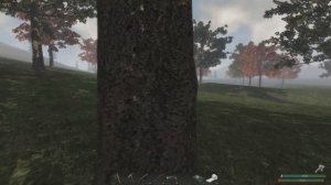 Игра SUBSISTENCE. Путешествие за забором.