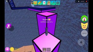 играем в игру с котятами roblox