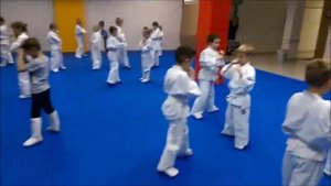 Кудо Псков.  Тренировка по КУДО юноши 7 -14 лет.  Клуб  КУДО "Скала"