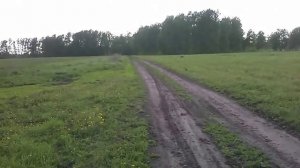 покатушки с из села Луговского мотоблок Master YArd MT 70R TWK+