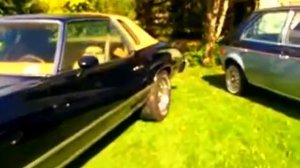 Mayenne Dodge Omni 81 and Chevrolet Monte Carlo 77