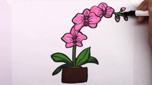 How to Draw a Rose, Orchid, Sunflower and Petunia Drawing for Kids #nyxggi #qq #easy