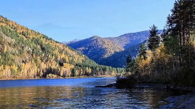 Сибирская сила смотреть онлайн