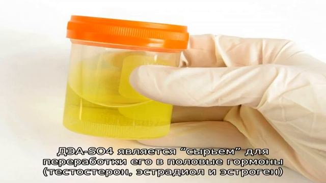 Как проверить работу надпочечников