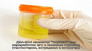 Как проверить работу надпочечников