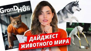 Про кошек и собак, мировые новости о наших питомцах. Третий выпуск.