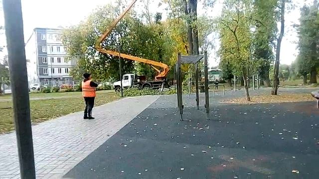 Пилят деревья мужику попало веткой по голове смотреть онлайн