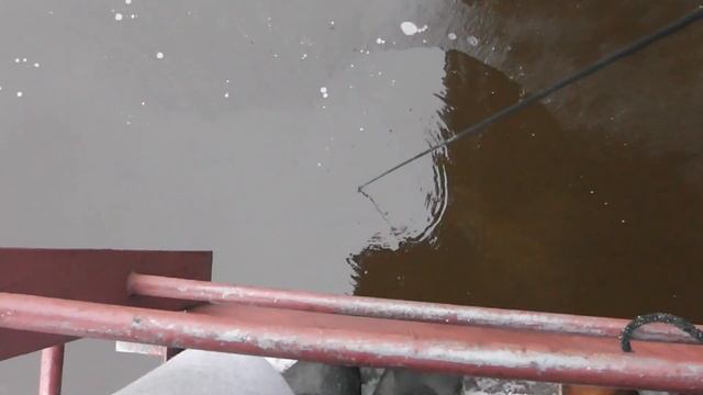 Поисковый магнит в Санкт Петербурге Железнодорожный мост смотреть онлайн